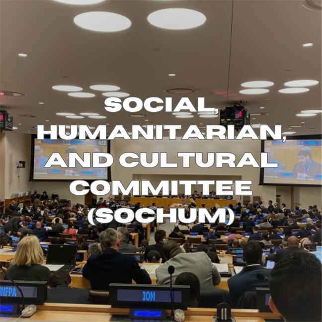 Social, Humanitarian, and Cultural Committee (SOCHUM)
